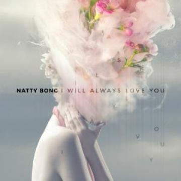 7” Natty Bong I Will Always Love You / Under The Bridge JS7S477 Music Brokers/Jet Se /00048