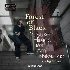 CD Yusuke　Hirado Forest of Black feat.Ami Nakazono GNSSR3 （有）ヴィレッジアゲ 未開封 /00110
