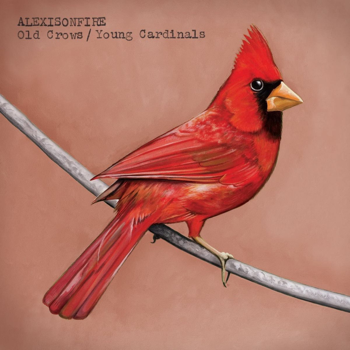 CD Alexisonfire Old Crows/Young Cardinals DAV017 Dine Alone Records 紙ジャケ /00110