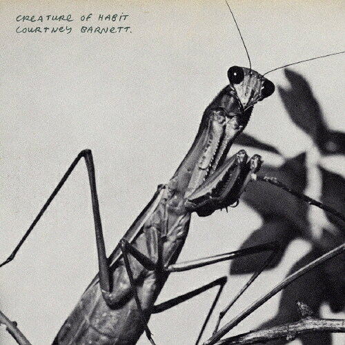 CD Countney Barnett Creature Of Habit UICB1038 VMG 未開封 /00110