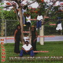 【新品】米CD Positively Nelsons Know Where Youre Going PNCD155 Positively Nalsons /00...