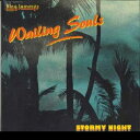 【新品】米LP Wailing Soul Stormy Night VPGSRL7101 Jammys /00240(2)