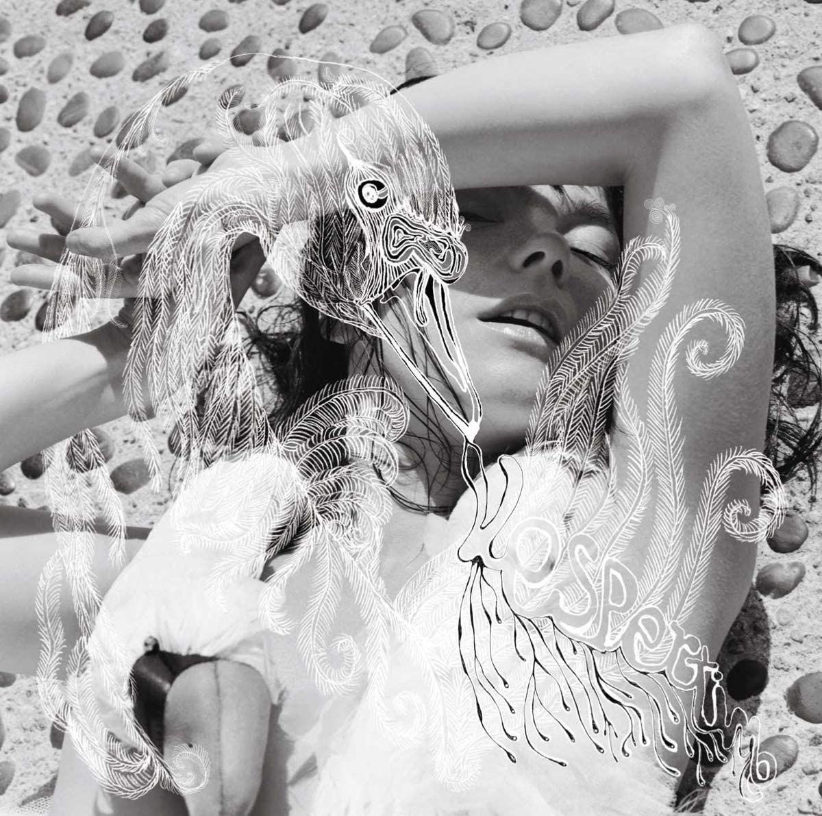 楽天市場】ビョーク vespertine（CD｜CD・DVD）の通販