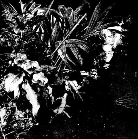 LP Jef Mertens Orchid Alto FTR793 AGUIRRE 未開封 /00260