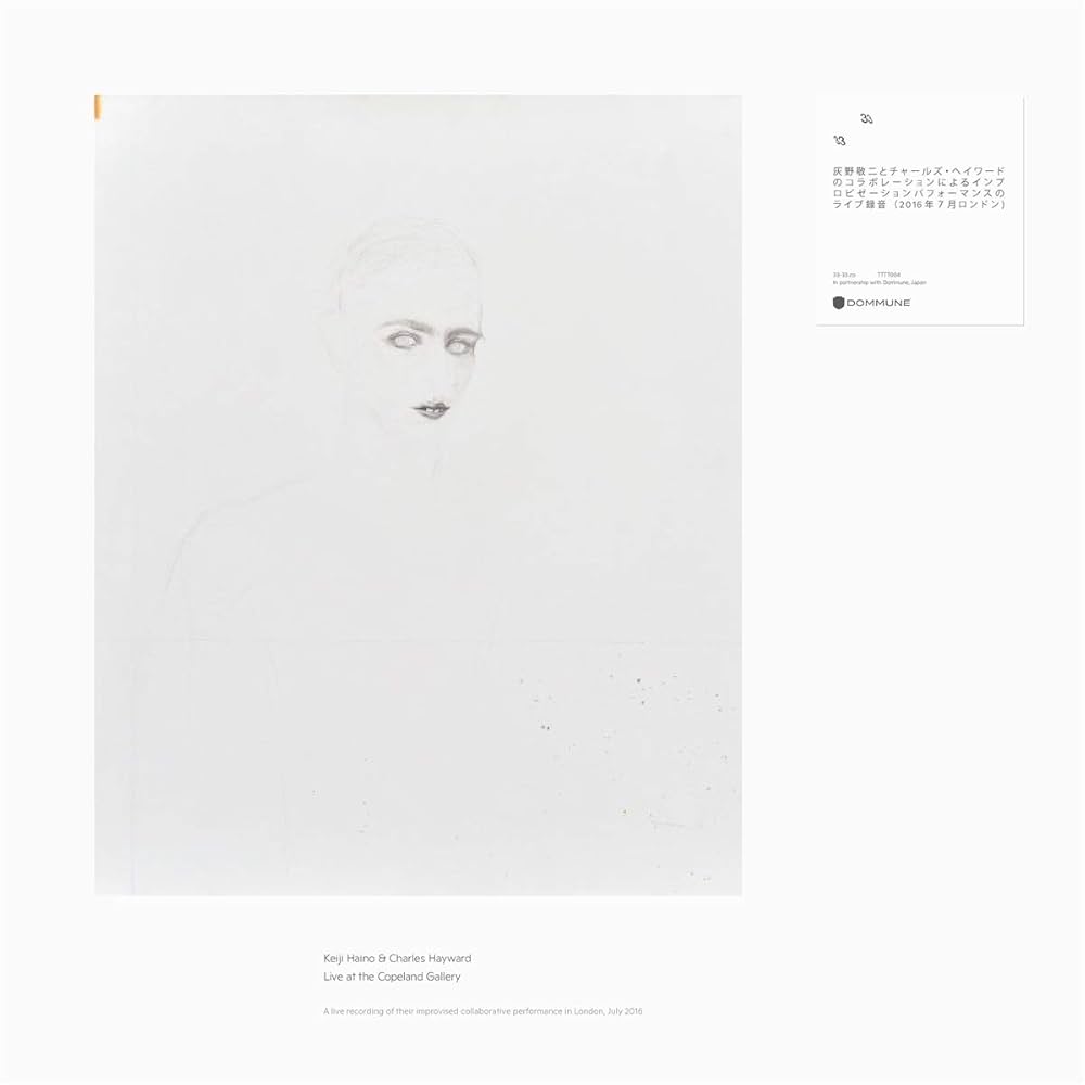 LP Keiji Haino &amp; Charles Hayward A Loss Permitted To Open Its Eyes For But Three Hou TTTT004 THIRTYTHREE THIRTYTH 未開封 /00260