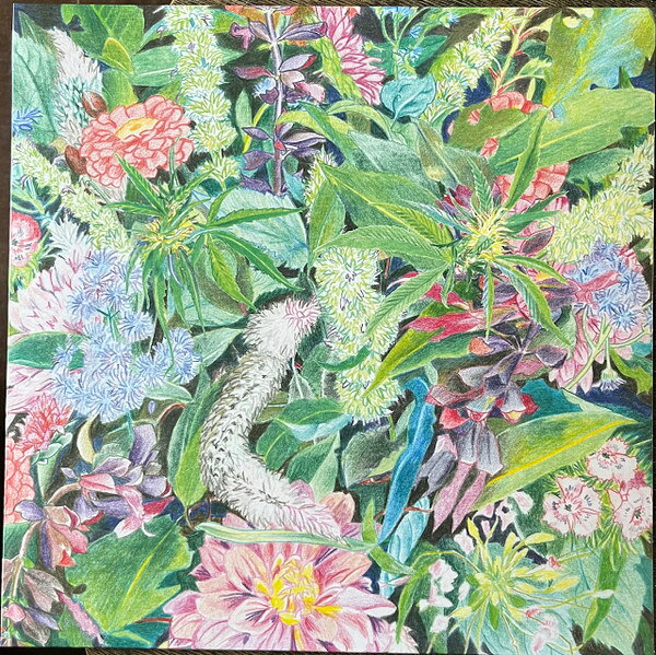LP Light-space Modulator Rising Wave WHYT095 AD 93 未開封 /00260