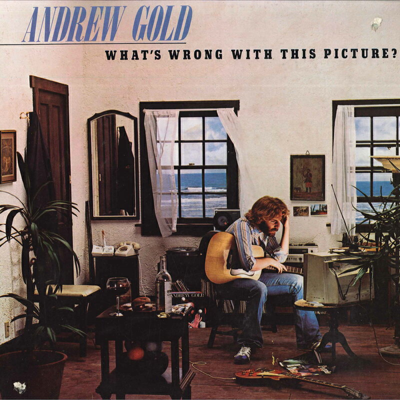 【中古】米LP Andrew Gold Whats Wrong With This Picture ? 7E1086 ASYLUM /00260