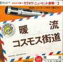 【中古】7” テイチク・オーケストラ カラオケ 暖流 / コスモス街道 RS1019 TEICHIKU /00080
