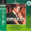 【中古】2discs LASERDISC Movie 草原の輝き NONE WARNER /01400
