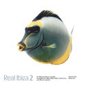 【中古】英CD Various Real Ibiza 2 REACTCDX154 React /00110