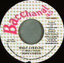 【中古】ジャマイカ7” Tony Curtis What A Feeling NONE Bacchanal 45 Records /00080(2)