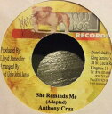 【中古】ジャマイカ7” Anthony Cruz She Reminds Me NONE John Dog Records /00080