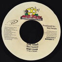 【中古】ジャマイカ7” Baby Cham Bad Mind MHPD26013 Mad House /00080
