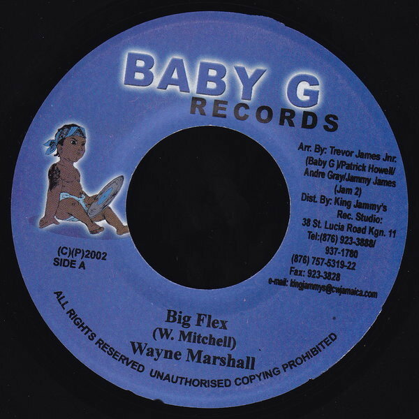 ・アーティスト Wayne Marshall ・タイトル Big Flex ・レーベル・型番 Baby G Records NONE ・フォーマット 7" ・コンディション(盤) 良い (VG+) ・コンディション(ジャケット) ・コンディション(帯) オビなし ・特記事項 サンプル画像です。実際の商品の画像ではありません 商品写真はバーコード/カタログ番号に対応したサンプル画像ですので、お送りする商品の画像ではありません。帯やライナーなどの付属品は、特記事項に記載されている場合のみ含まれます。プロモやカラーレコードなどの仕様についても、該当する場合のみ特記事項に記載しています。 【ご購入前に必ずご確認ください】 ・本店サイト(www.recordcity.jp)とは価格、送料が違います ・本店サイト、その他支店のオーダーとは同梱発送できません ・注文確定後に別の注文を頂いた場合、注文同士の同梱は致しかねます。 ・別倉庫から発送しているため、店頭受け渡しは対応しておりません ・一部商品は他の通販サイトでも販売しているため、ご注文のタイミングによっては商品のご用意ができない場合がございます。 ・土日祝日はお休みです 金曜・祝前日9時以降のご連絡またはご入金は、返答または発送が週明け・祝日明けに順次対応となります。 ・ご購入後のキャンセル不可 ご購入後のキャンセルはいかなる理由においてもお受けできません。ご了承の上、ご購入くださいませ。 ・日本郵便(ゆうパック/ゆうメール)によるお届けになります。 ・中古品であることをご理解ください 当ストアでは中古商品を主に販売しております。中古品であることをご理解の上ご購入ください。また、一部商品はRecordCityオンラインストアで試聴可能です。 ・返品について お客様のご都合による返品は一切承っておりません。 表記の内容と実際の商品に相違がある場合、また針飛び等で返品・返金をご希望される場合は、商品の到着後1週間以内にご連絡ください。商品の返送をこちらで確認後、キャンセル・返金を行います。 コンディションVG以下の商品は返品できません。プレイに影響のない表面のこすれ傷、プレス起因のノイズ盤は返品の対象外です。 【コンディション表記】 ・ほぼ新品(M-)(Like New) 完全な新品。未使用。当店ではほぼ使用しません ・非常に良い(EX)(Excellent) 中古盤として美品な状態。わずかな経年を感じるものの傷みを感じさせない、当店基準で最高の状態 ・良い(VG+)(Very Good Plus) 丁寧に扱われた中古品で、軽い使用感がみられる。 ・可(VG)(Acceptable) 使い込まれた中古品で、「良い」よりもさらに使用感がみられる。 ・悪い(VG-)(Bad) 状態が悪いアイテム。使用の保障はなく、再生不可、針飛び、目立つノイズがあるかもしれない。状態によるクレーム不可。返品不可。 ・非常に悪い(G)(Very Bad) 「悪い」よりさらに状態が悪いアイテム。使用の保障はなく、再生不可、針飛び、目立つノイズがあるかもしれない。状態によるクレーム不可。返品不可。 ・ジャンク(Fair)(Junk/Fair) 割れている、反っている、水ダメージがある、カビ、ジャケットが分離している、ひどい書き込み、ひどい擦れなど最低の状態。使用の保障はなく、再生不可、針飛び、目立つノイズがあるかもしれない。状態によるクレーム不可。返品不可。 ・ジャンク(Poor)(Junk/Poor) 割れている、反っている、水ダメージがある、カビ、ジャケットが分離している、ひどい書き込み、ひどい擦れなど最低の状態。使用の保障はなく、再生不可、針飛び、目立つノイズがあるかもしれない。状態によるクレーム不可。返品不可。
