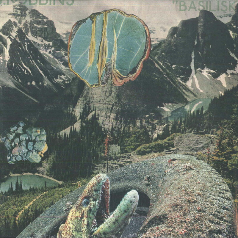 【新品】LP J. Robbins Basilisk DIS196V DISCHORD 未開封 /00260