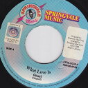 【中古】ジャマイカ7” Ghost What Love Is SPVCD0728 Springvale Music /00080