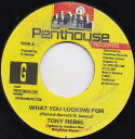 【中古】7” Tony Rebel What You Looking For NONE Penthouse Records /00080