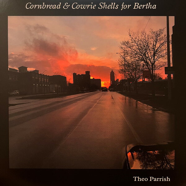 2discs LP Theo Parrish Cornbread &amp; Cowrie Shells For Bertha SS09394 Sound Signature 未開封 /00660