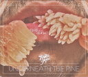 【中古】米CD Toro Y Moi Underneath The Pine CAK59 Carpark Records 紙ジャケ /00110