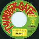 【中古】7” Hase-T What Do You Want TGH0002 Thunder Gate Records /00080