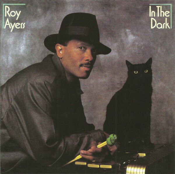 【中古】米CD Roy Ayers In The Dark FTG297 Funkytowngrooves /00110
