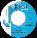 【中古】ジャマイカ7” Assassin Income NONE Jammys Records /00080