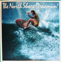 【中古】LP Various North Shore Dreamin 20AP2340 CBS SONY /00260