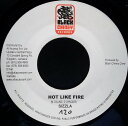 【中古】ジャマイカ7” Sizzla / Nicky B Hot Like Fire / If You Wanna Ride NONE Black Chiney...