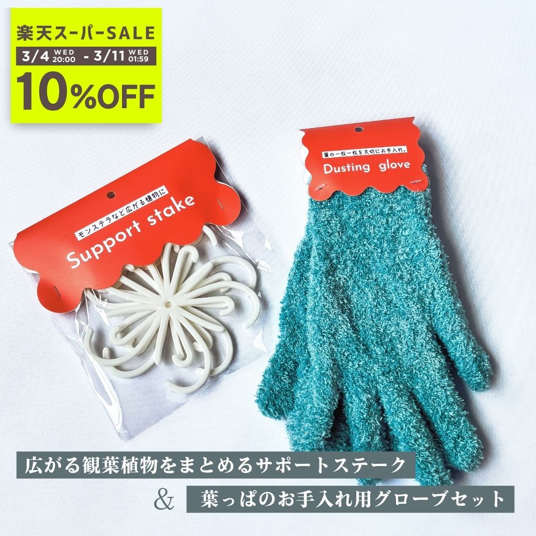 【10%OFF】広がり防止サポートステーク2個セット＆ダスティンググローブ 植物 支柱 広がり防止 場所問題解消 植物 茎ホルダー 植物 サポートステーク 観葉植物用 ステムホルダー 観葉植物 支柱 モンステラ 支柱 リング 支柱 可愛い おしゃれ