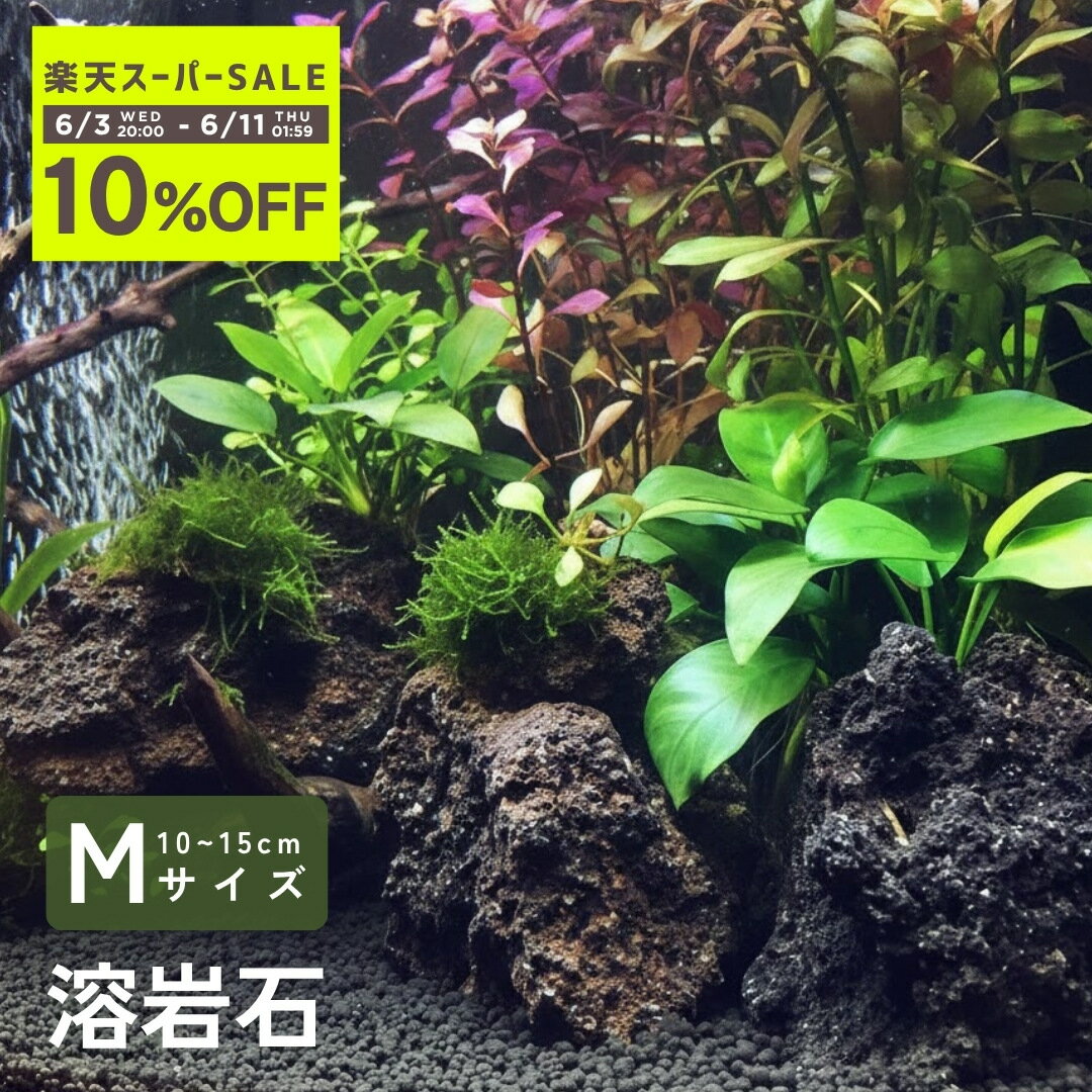 楽天市場】溶岩石 鉢（水槽・アクアリウム内装｜熱帯魚・アクアリウム