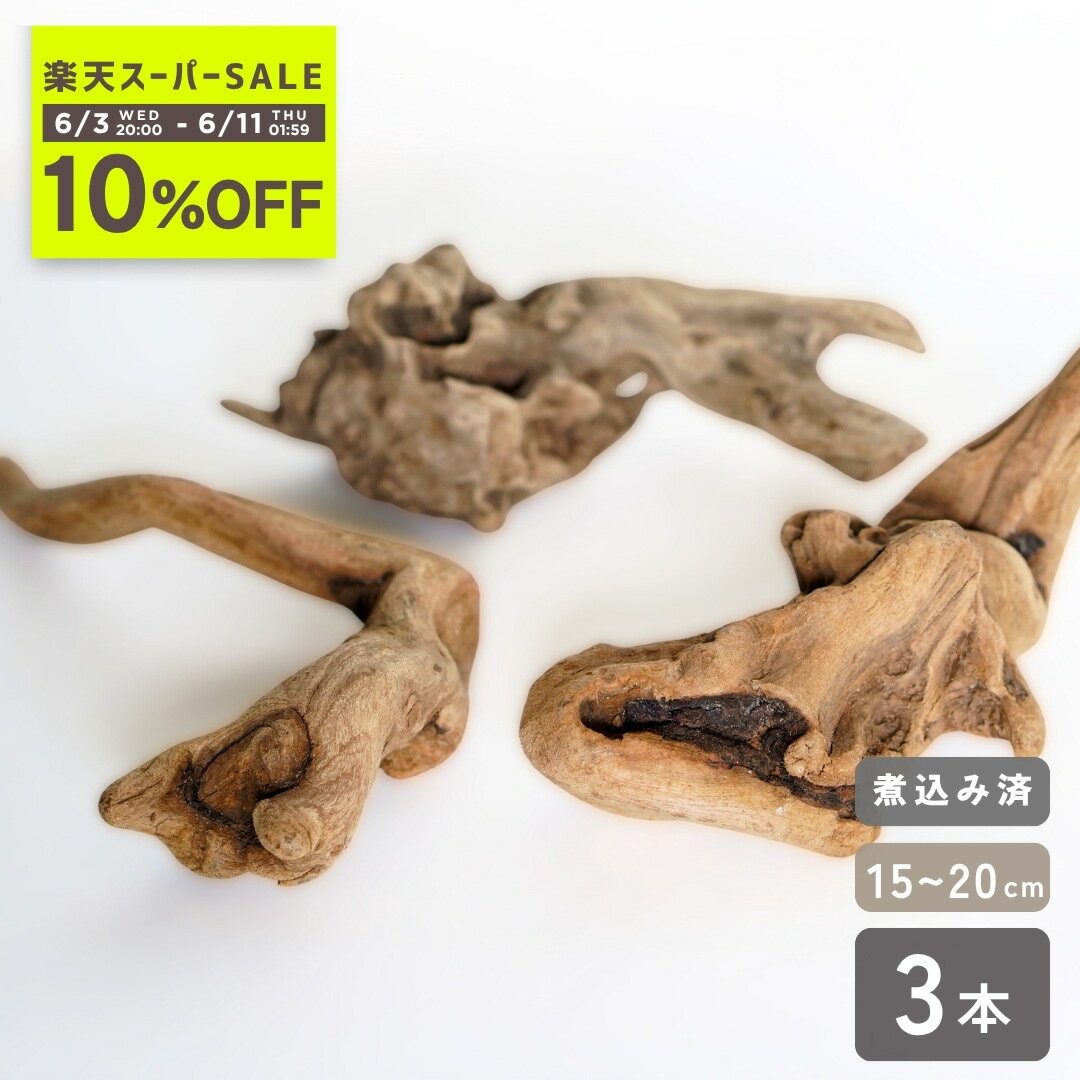 ＜10 OFF ＞送料無料 煮込み済み あく抜き済み 流木 3本セット 《15cm〜20cm》 形状お任せ アクアリウム 水槽 レイアウト メダカ 隠れ家 水草 活着 ベース チランジア エアプランツ テラリウム 爬虫類 素材 天然 処理済み