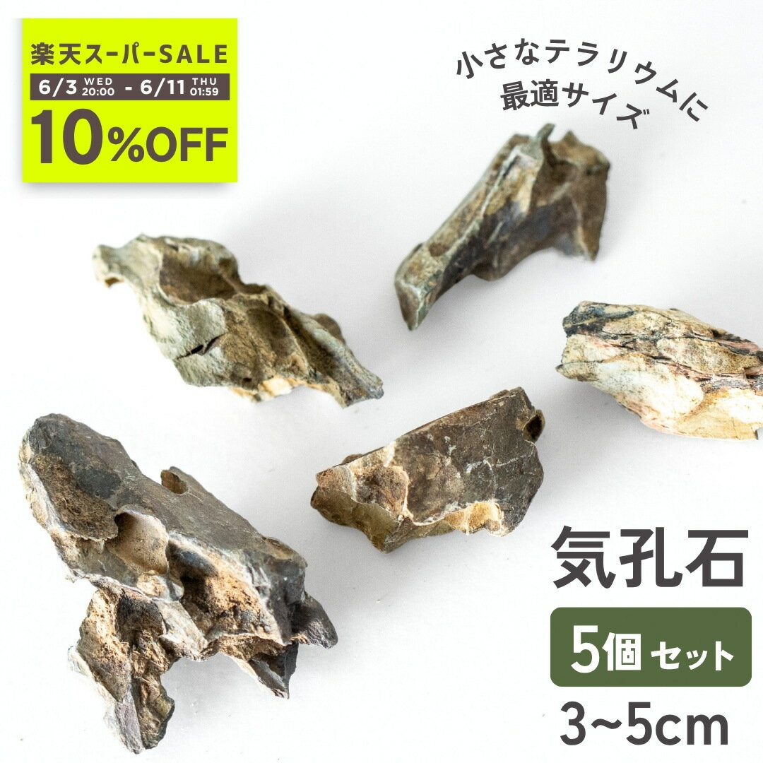 ＜10%OFF!＞気孔石 《3~5cm 5個セット》 【形状お任せ】アクアリウム テラリウム パルダリウム 活着ベース ウィローモス アヌビアス ミクロソリウム エビ 隠れ家 水質浄化 メダカ 水槽 レイアウト 石 水草