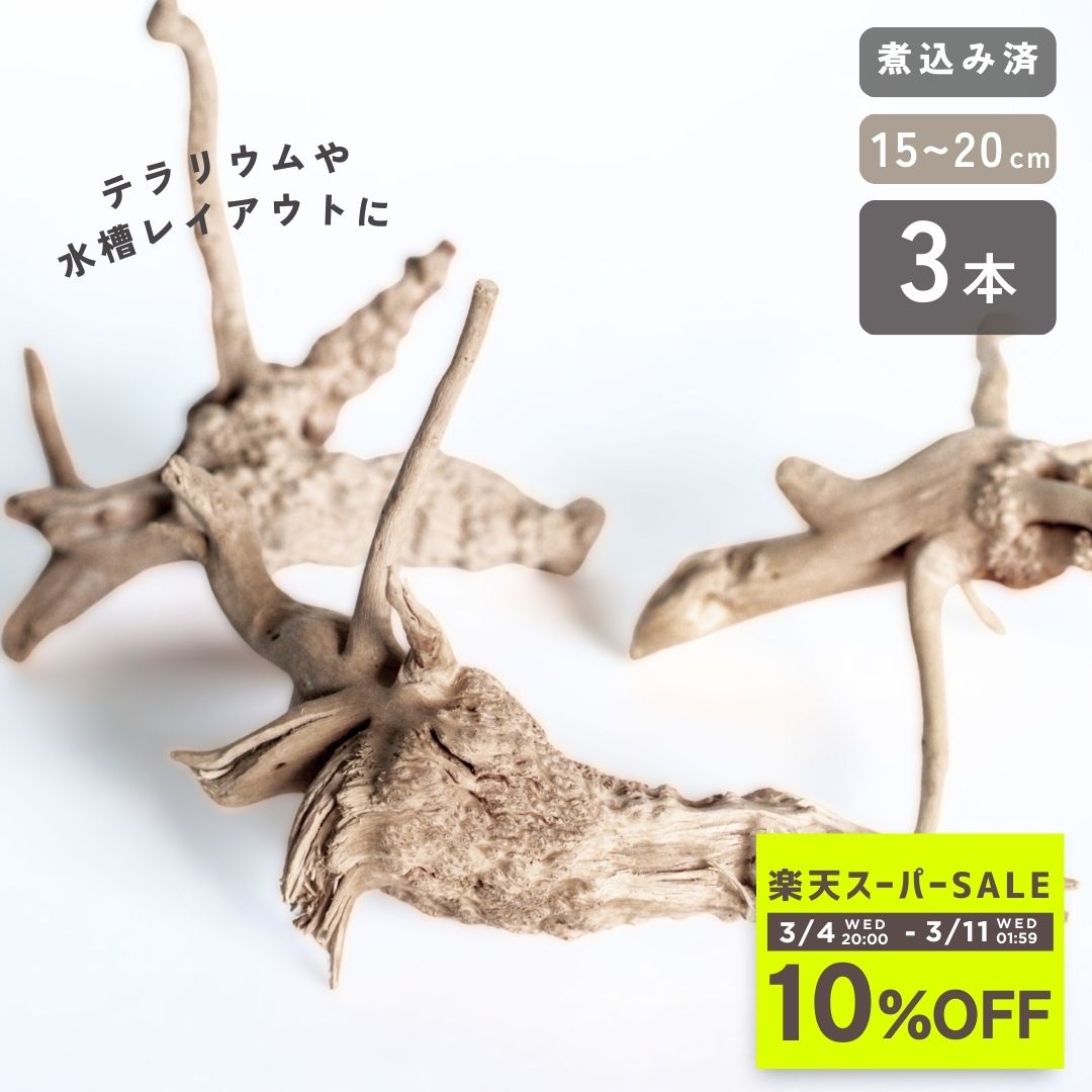 煮込み済み あく抜き済み 流木 枝状 3本セット 15cm〜25cm【形状お任せ ナチュラルブランチ】アクアリ..