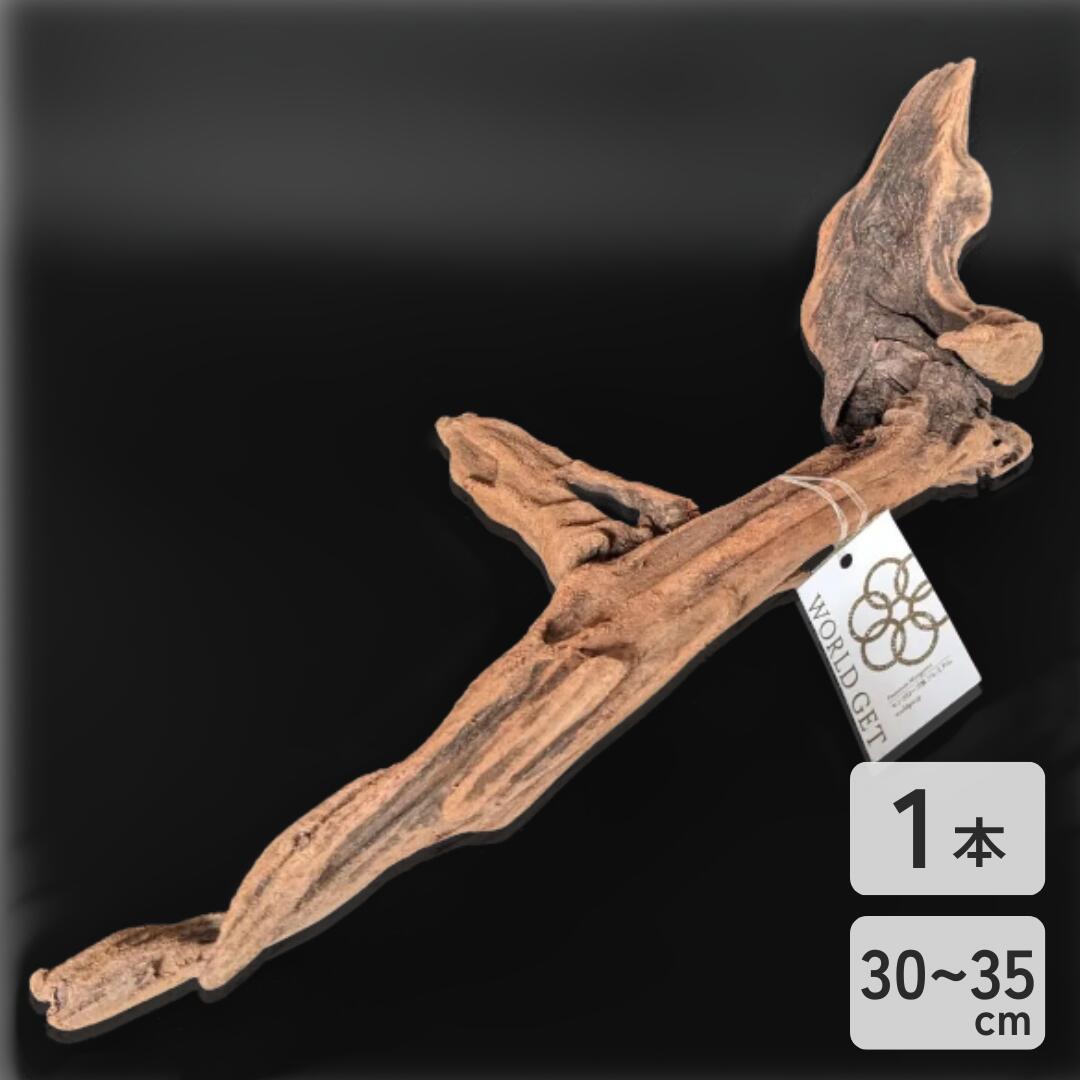 楽天市場】エアプランツ 流木（熱帯魚・アクアリウム｜ペット・ペット