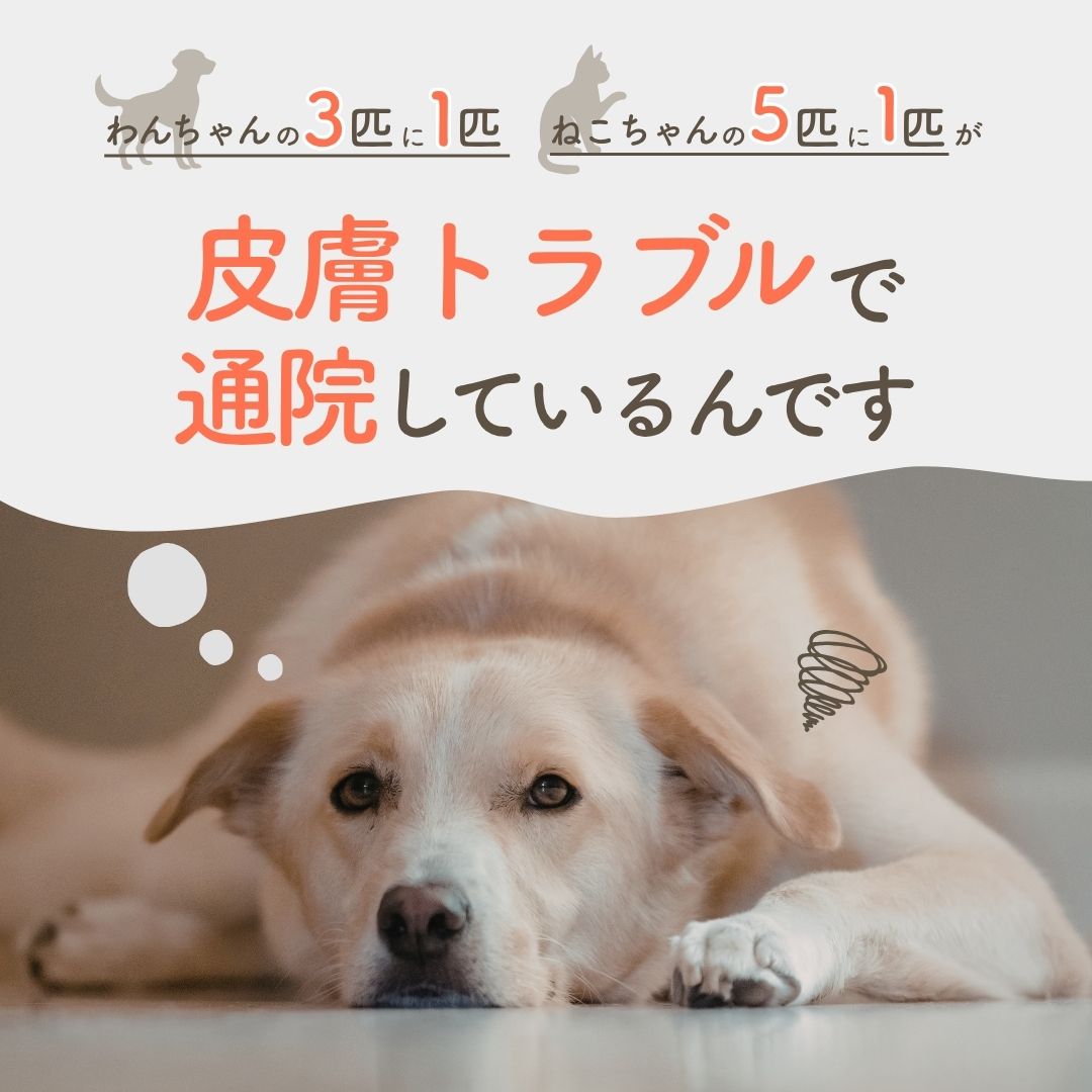 Ashitamoの＜ポイント5倍＞犬用 猫用 PET iPS 100ml（iPS培養上精液配合美容液） 皮膚病 炎症 カイカイ 炎症 皮膚の保護 乾燥 再生医療 再生医療技術 スキンケア 幹細胞 iPSF 犬 猫 皮膚炎 皮膚トラブル フケ 痒み 乾燥 対策 保湿 抗炎症 エイジングケア 日本製｜アングル2