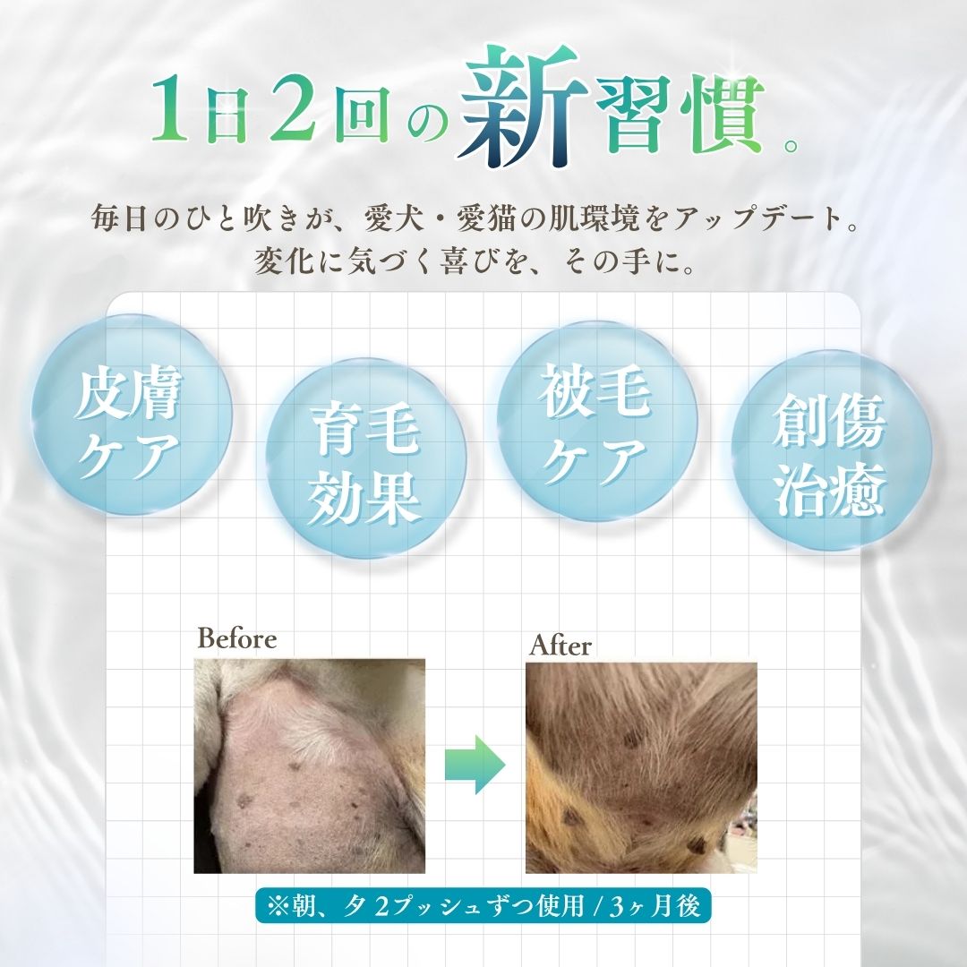 Ashitamoの＜ポイント5倍＞犬用 猫用 PET iPS 100ml（iPS培養上精液配合美容液） 皮膚病 炎症 カイカイ 炎症 皮膚の保護 乾燥 再生医療 再生医療技術 スキンケア 幹細胞 iPSF 犬 猫 皮膚炎 皮膚トラブル フケ 痒み 乾燥 対策 保湿 抗炎症 エイジングケア 日本製｜アングル3