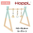 HoppL ベビージムセット 本体シーグリーン ハンギングトイ ホップル おしゃれ ベビートイ ベビージムセット プレゼント お祝い 出産祝い 誕生日プレゼント 天然木 男の子 女の子 赤ちゃん 北欧 シンプル 木のおもちゃ クリスマス クリスマスプレゼント 贈り物 子供用