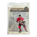 【中古】 UPPER DECK NHLカード YOUNG GUNS JASON SPEZZA SENATORS #443 IT1