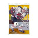 【中古】 In The Game NHLカード 2002 SIGNATURE SERIES BE A PLAYER JIRI BICEK NEW JERSEY DEVILS #239 IT1