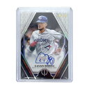 【中古】 TOPPS MLBカード TRIBUTE CAVAN BIGGIO TORONTO BLUE JAYS 149/199 #TA-CBI IT1