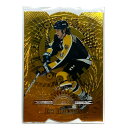 【中古】 DONRUSS NHLカード FRACTAL MATRIX DIE-CUT JOE THORNTON BRUINS #150 IT2