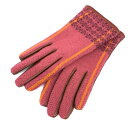 ANNA SUI アナスイ 手袋 良好 レッド レザー切替 レディース 手袋 glove グローブ 服飾小物 【中古】 【202501】