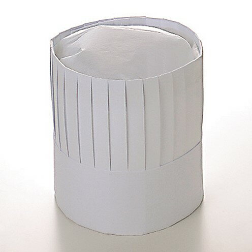 Rakuten - パリスハット PH-20NT (10枚入) フリーサイズ 【メーカー直送】