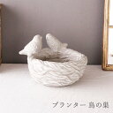 プランター おしゃれ 鳥の巣 穴有(キャップ付き) セメント 植木鉢 鉢 ガーデニング インテリア 室内 屋外