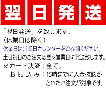 【翌日発送】新品 レマコム4面ガラス冷蔵ショーケース（LED仕様）前開きタイプ 84リットル幅425×奥行412×高さ987(mm) RCS-4G84SL