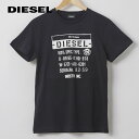 ディーゼル DIESEL Tシャツ 半袖 メンズ ロゴ ブランド S M L XL XXL 大きいサイズ ブラック ブルー グレー ホワイト 丸首 クルーネック レディース ユニセックス 男女兼用 T-DIEGO-S1