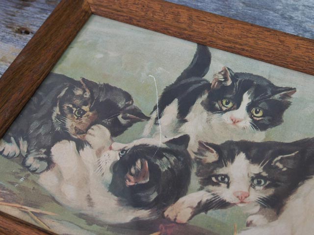 �ھ��ʹ���ǹ�3980�ߤ�����̵���� ����ƥ����� �ԥ����㡼����å� ǭ