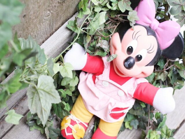 �ھ��ʹ���ǹ�3980�ߤ�����̵���� ������ơ��� ��С��ɡ��� �ʥǥ����ˡ��ߥˡ���