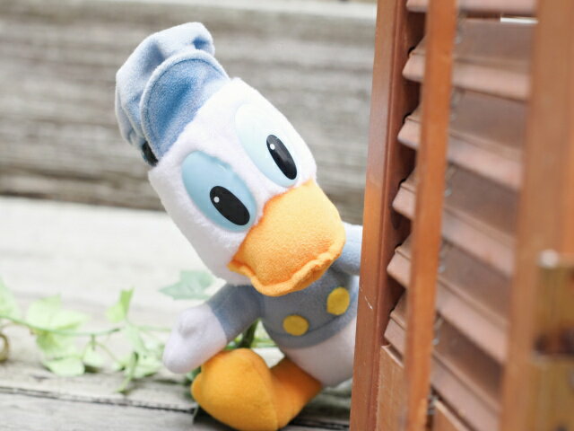 �ھ��ʹ���ǹ�3980�ߤ�����̵���� ������ơ��� �ɥʥ�ɥ��å�(�ǥ����ˡ���