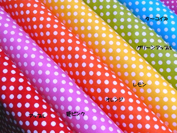 �ڥ������󥰡ۿ�����ColorBasic���֡�����ե�ɥå�5mm���顼�١����å�CB2��̥륷����LECIEN
